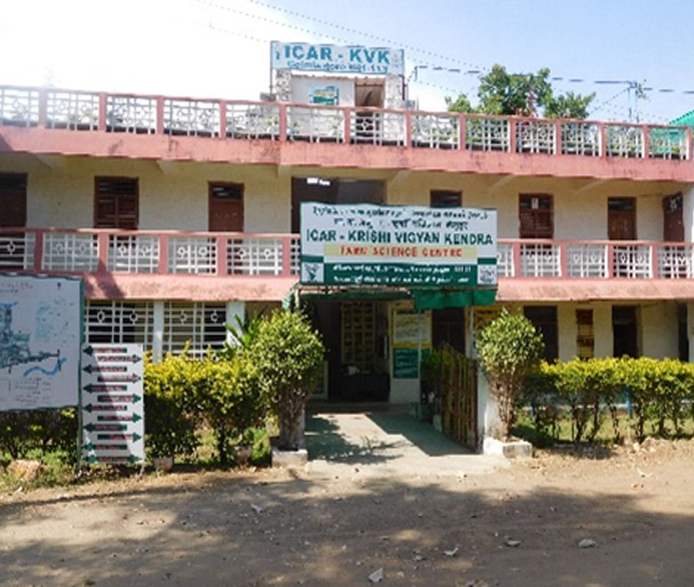 Daily Market Information DMI